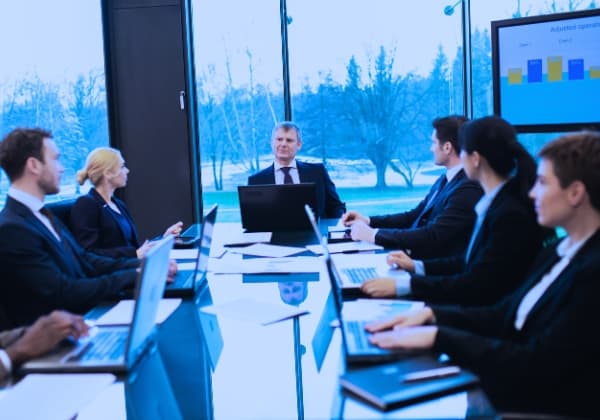 SOX & Corporate Governance Audits